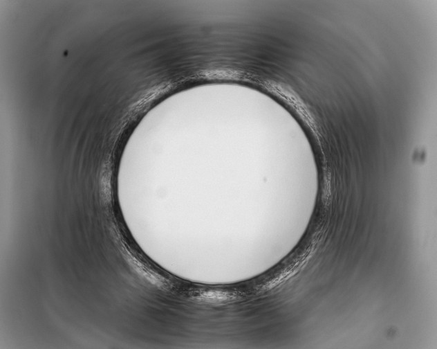 X0000098120441200805021200