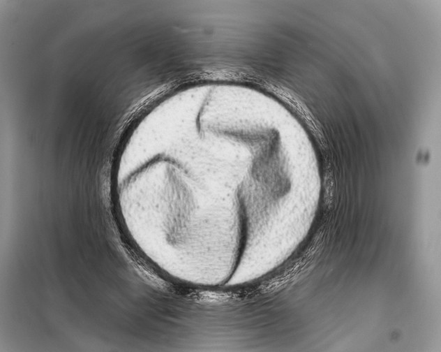 X0000098120442200805021200