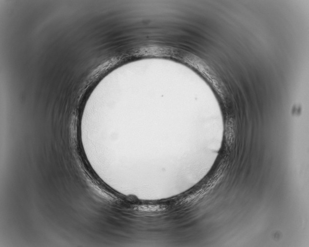 X0000098120445200805021200