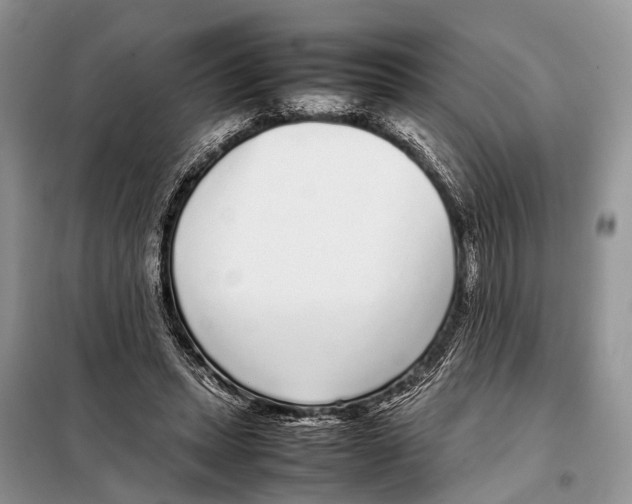 X0000098120447200805021200