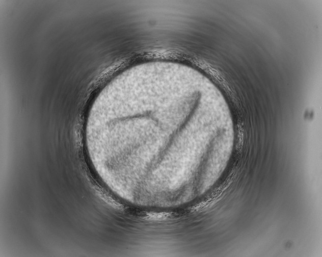 X0000098120450200805021200