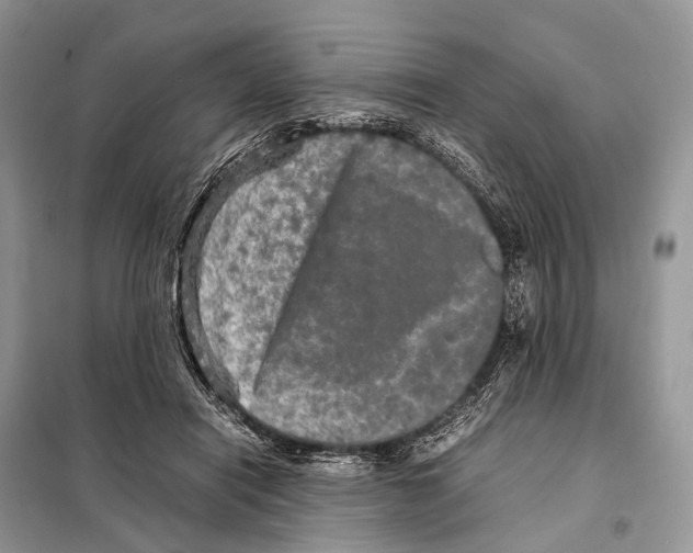 X0000098120454200805021200
