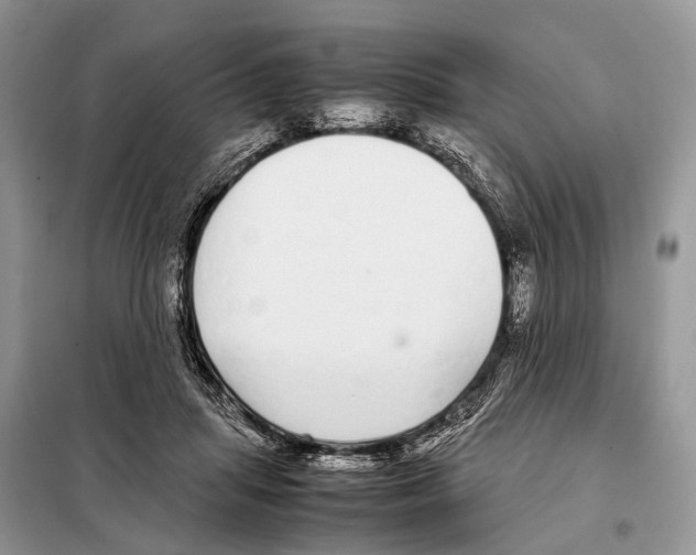 X0000098120455200805021200