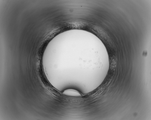 X0000098120456200805021200