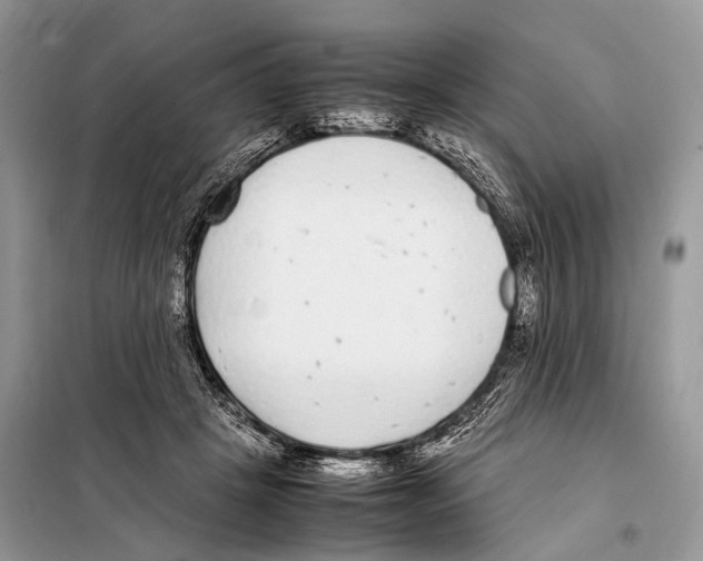 X0000098120457200805021200