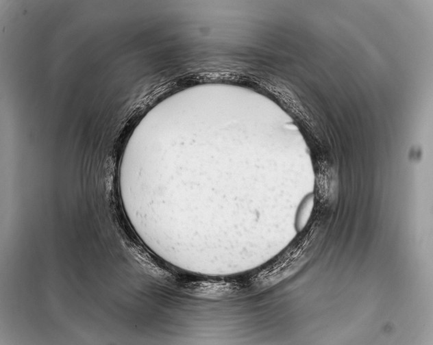 X0000098120458200805021200