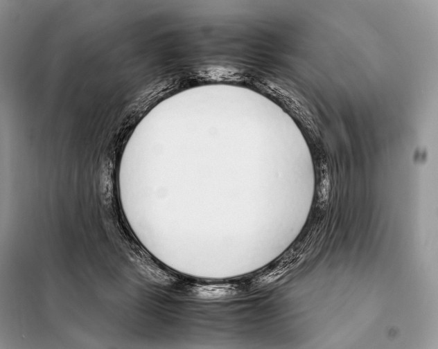 X0000098120461200805021201