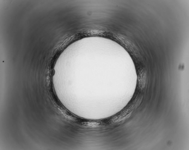 X0000098120462200805021201