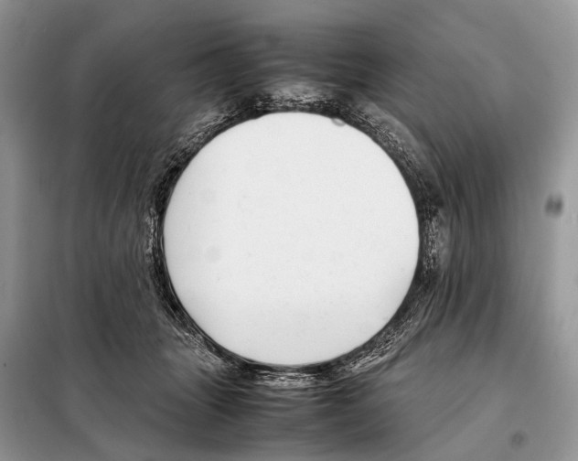 X0000098120463200805021201