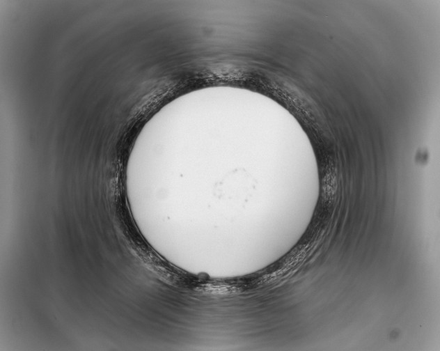 X0000098120464200805021201