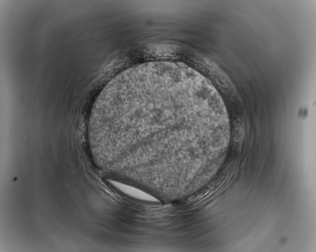 X0000098120465200805021201