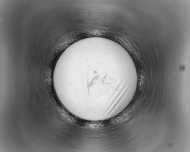 X0000098120466200805021201