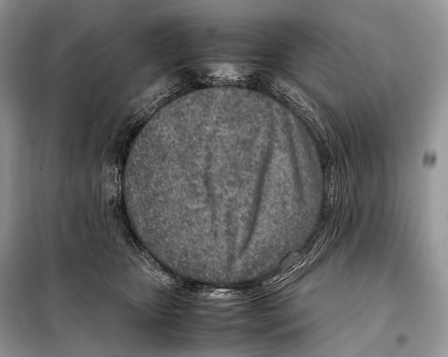 X0000098120467200805021201