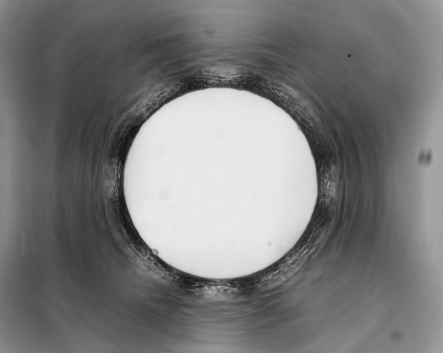 X0000098120468200805021201