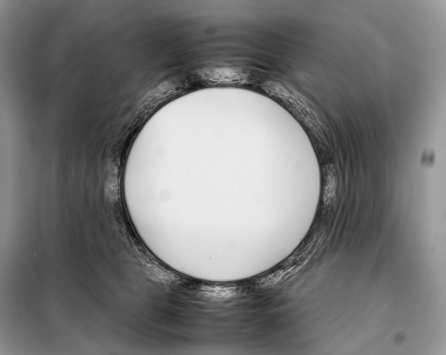 X0000098120469200805021201