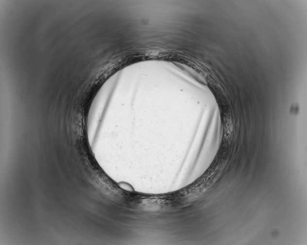 X0000098120470200805021201