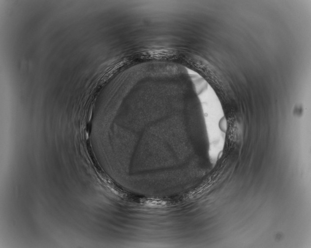 X0000098120471200805021201