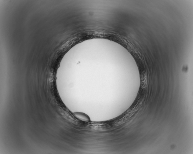 X0000098120472200805021201