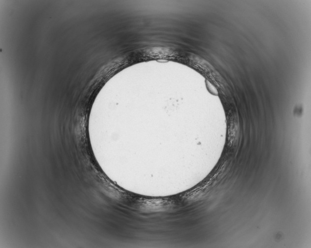X0000098120473200805021201