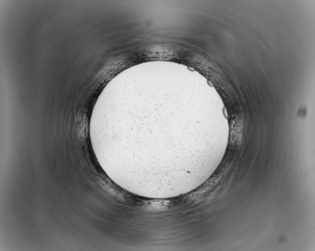 X0000098120474200805021201