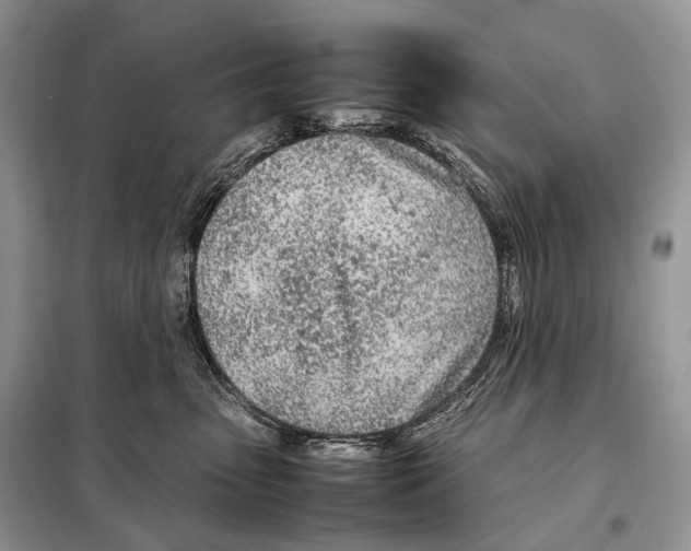 X0000098120475200805021201