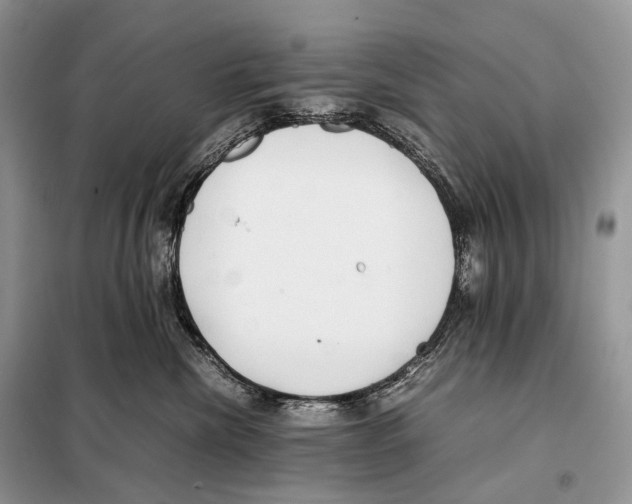 X0000098120476200805021201