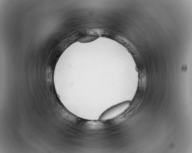 X0000098120477200805021201