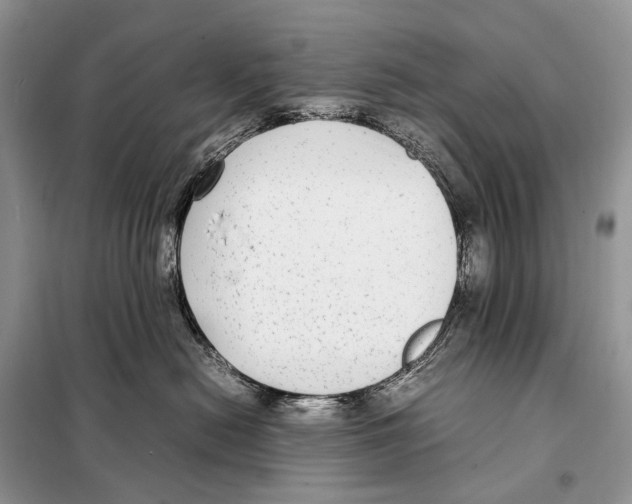 X0000098120478200805021201