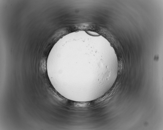 X0000098120479200805021201