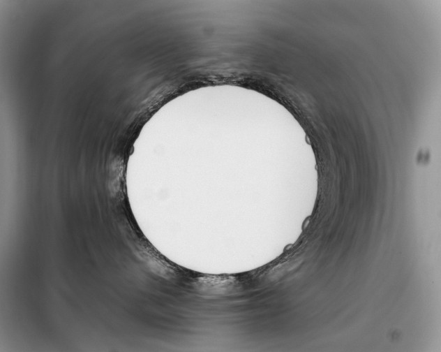 X0000098120480200805021201