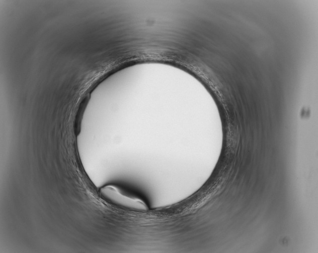 X0000098120481200805021200