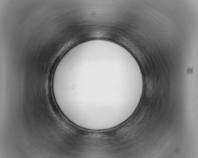 X0000098120482200805021200