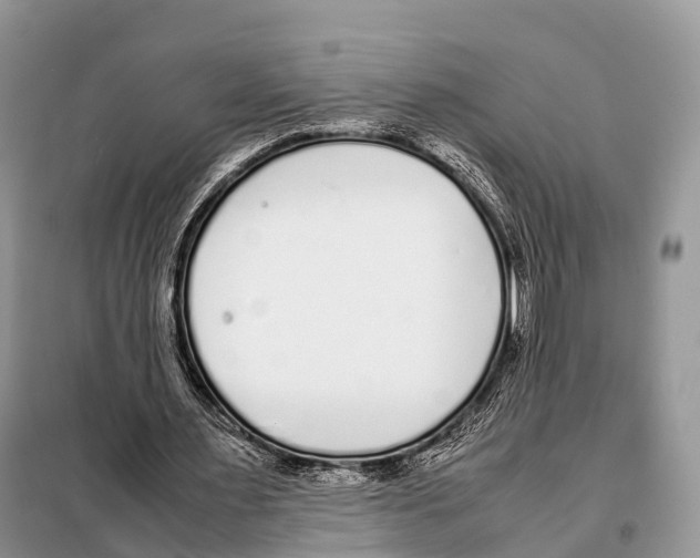 X0000098120483200805021200