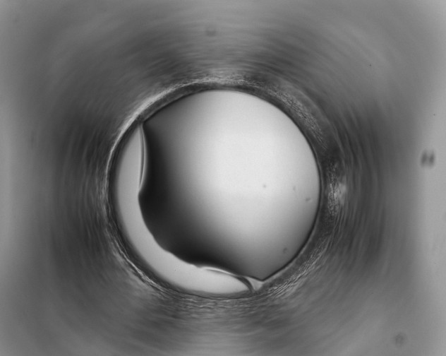X0000098120484200805021200