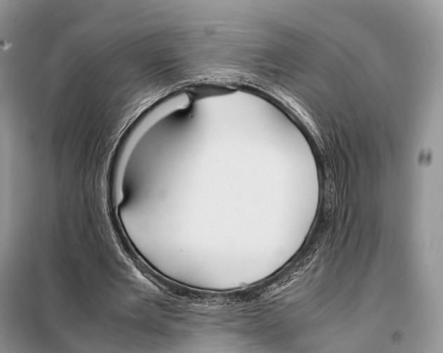X0000098120485200805021200