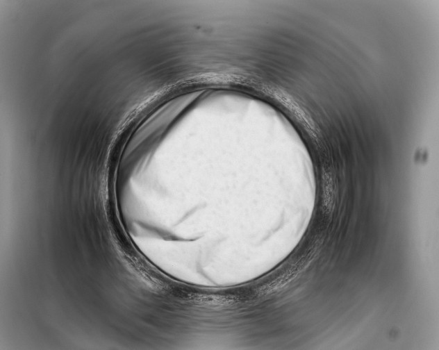 X0000098120486200805021200