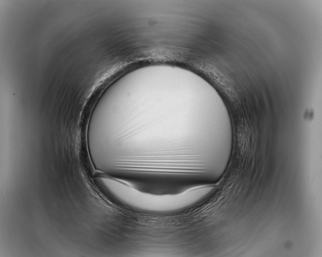 X0000098120488200805021200
