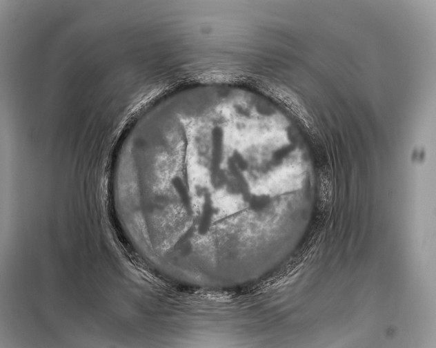 X0000098120491200805021200