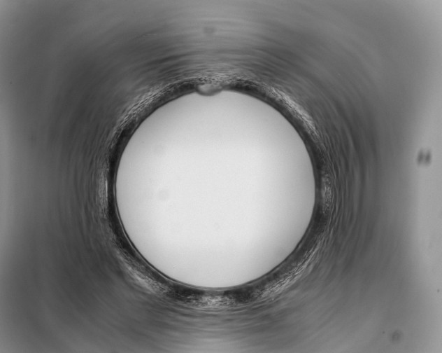 X0000098120493200805021200