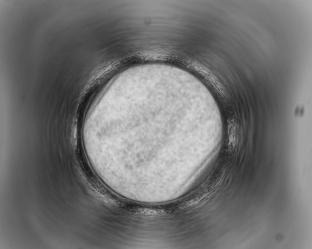 X0000098120494200805021200