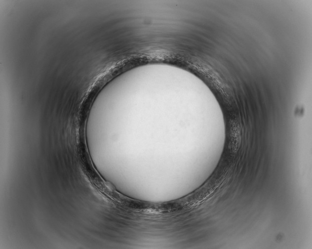 X0000098120496200805021200