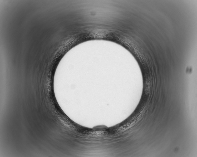X0000098120497200805021200