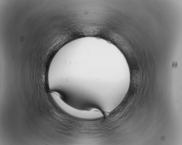 X0000098120501200805021200