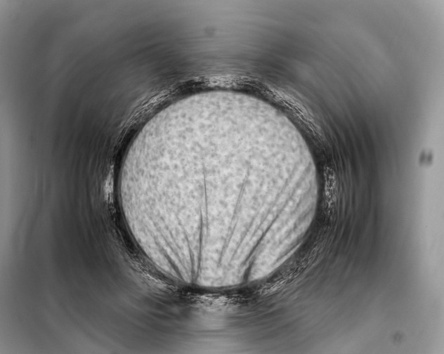 X0000098120502200805021200