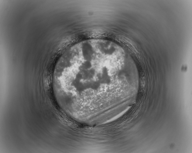 X0000098120503200805021159