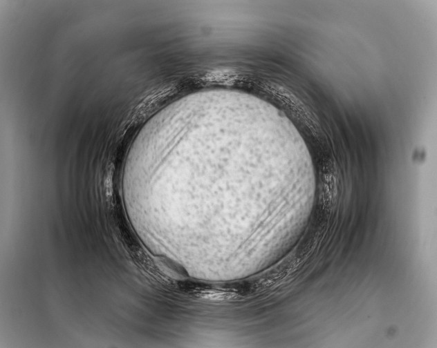 X0000098120504200805021159