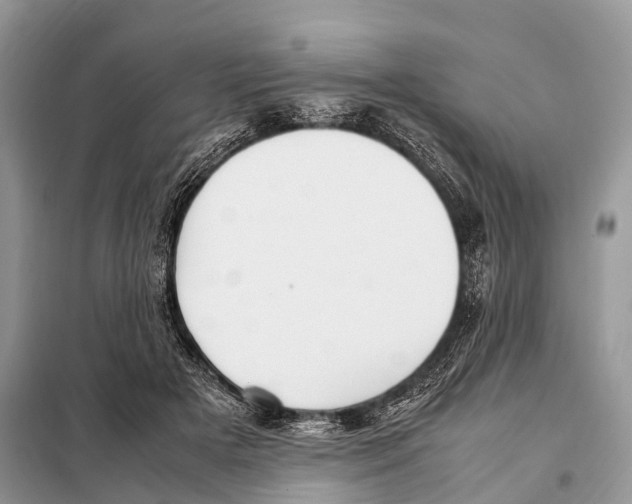 X0000098120505200805021159