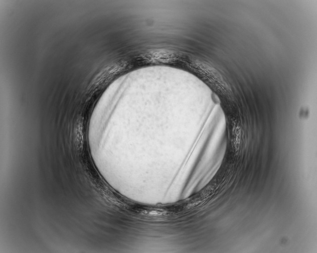 X0000098120506200805021159