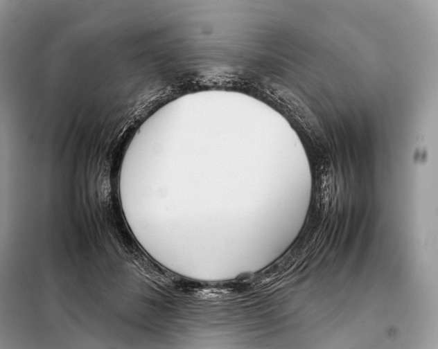 X0000098120508200805021159