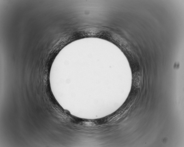 X0000098120509200805021159